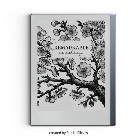 Sleep Screen for reMarkable Van Gogh Inspired